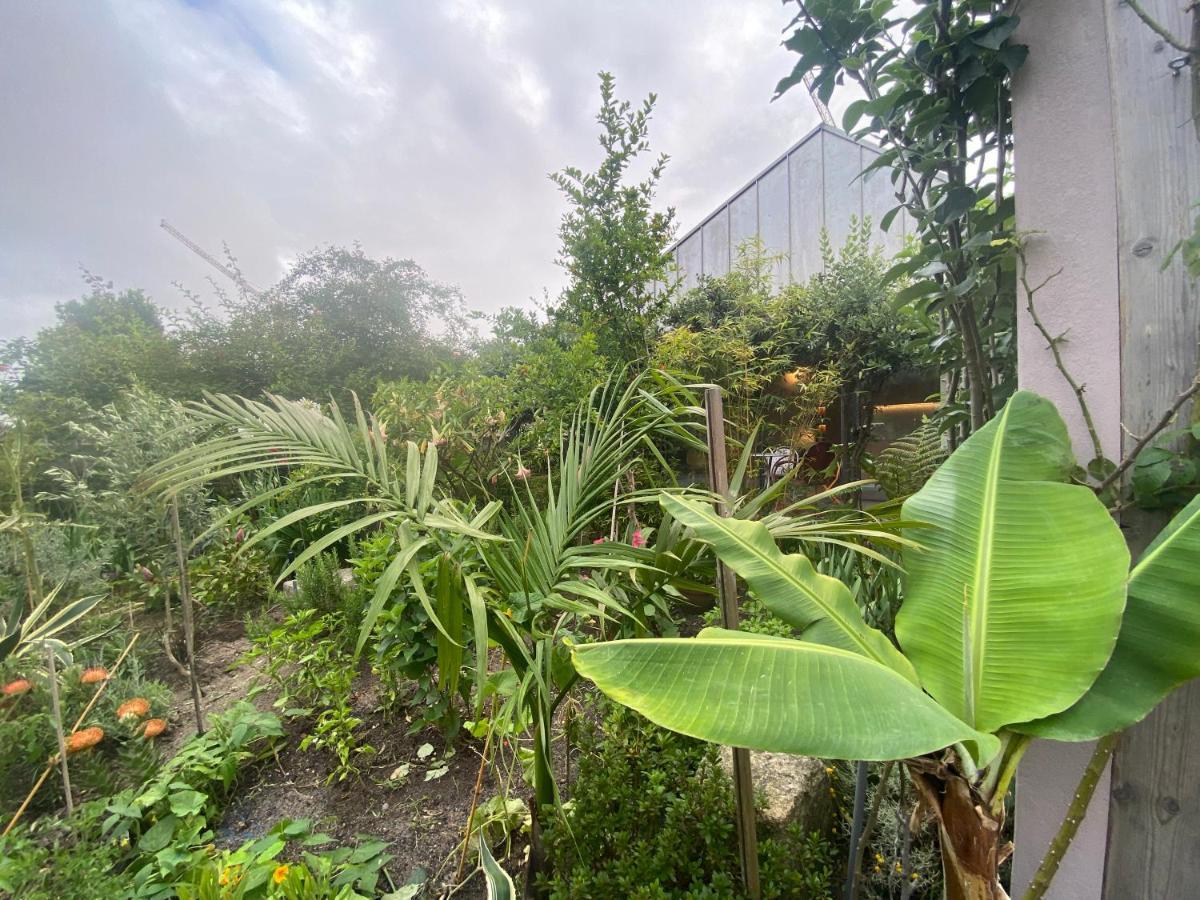 Koko Garden Apartment Porto Dış mekan fotoğraf